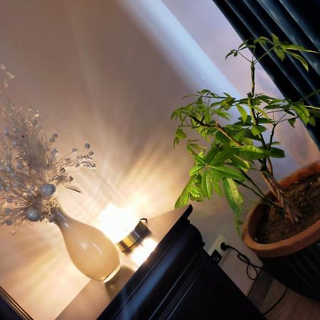 Casa Maria Roses Hotel Rîşnov Luaran gambar