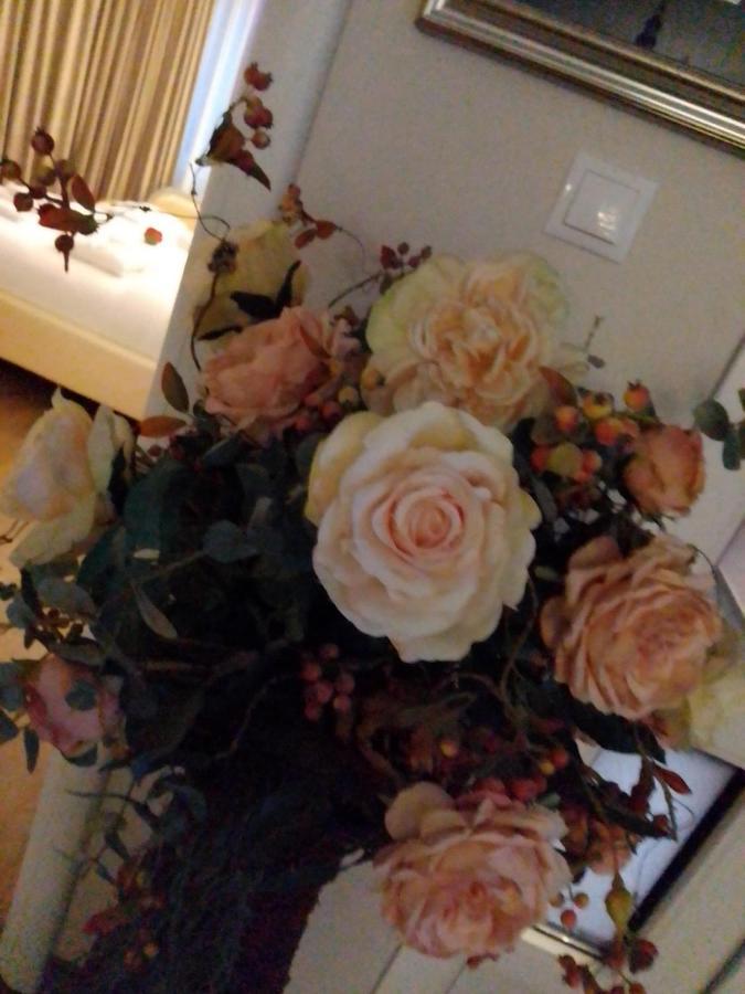 Casa Maria Roses Hotel Rîşnov Luaran gambar