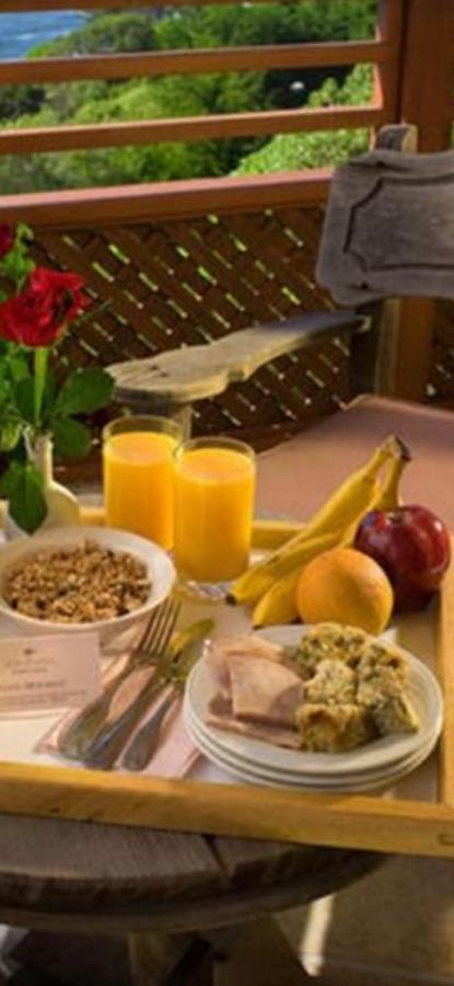 Casa Maria Roses Hotel Rîşnov Luaran gambar