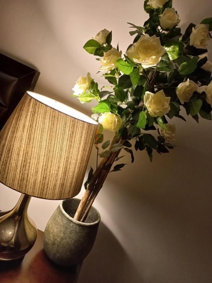 Casa Maria Roses Hotel Rîşnov Luaran gambar