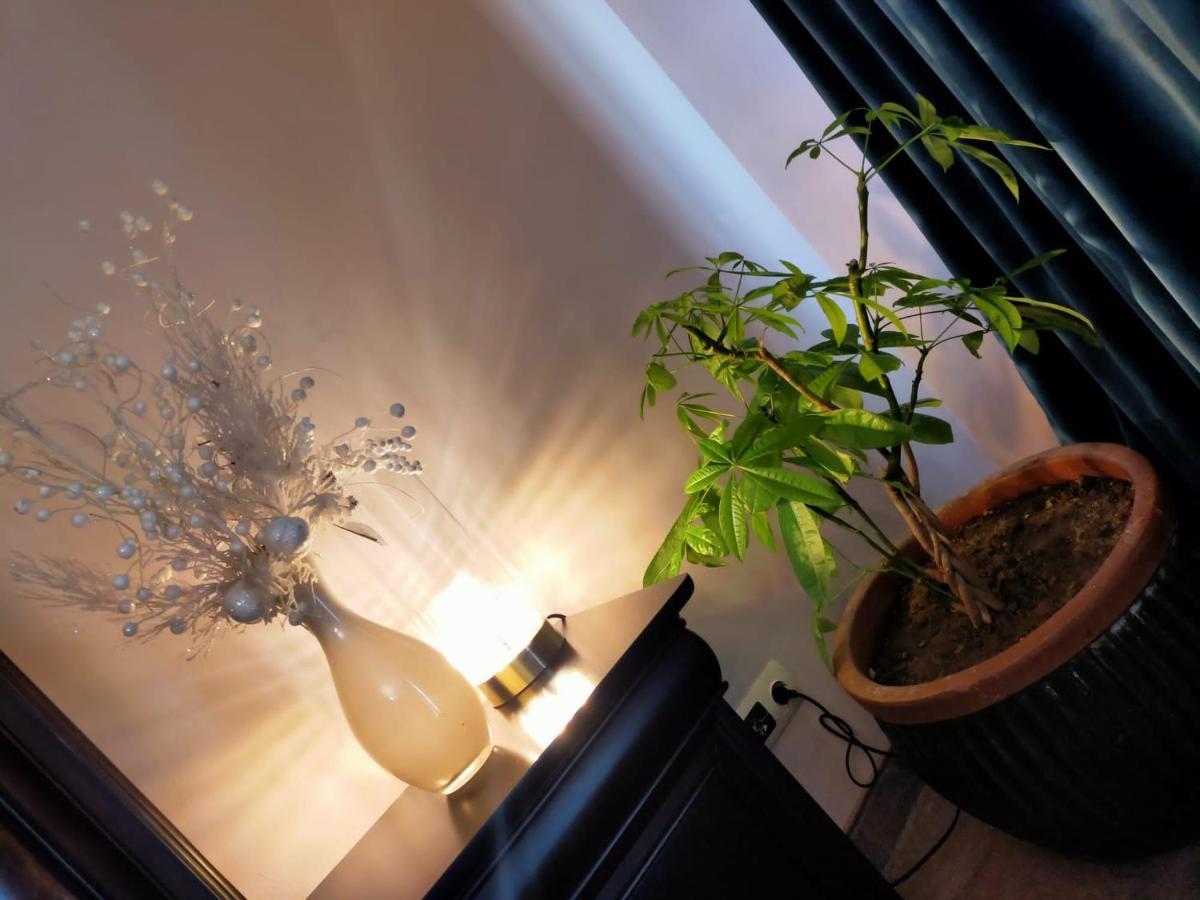 Casa Maria Roses Hotel Rîşnov Luaran gambar